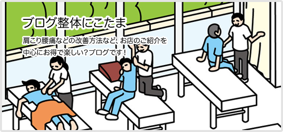 ブログ整体にこたまTOPへ戻る